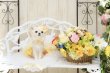 画像5: スイートプリンセス（オレンジ&イエロー） (5)