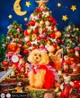 画像4: マイフェアレディ フラワー*フェアリー クリスマス レッド (4)